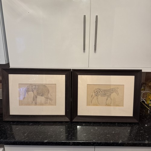 John lewis framed - framed, animal