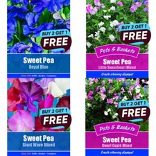 Flower Seeds UK Grow Your Own