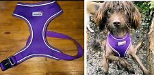 Doodlebone Purple Dog Harness