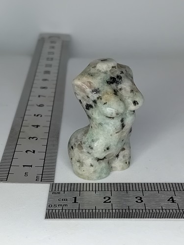 Small miniature kiwi - miniature,