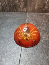 ?Rare 1970s Baby Scorpion In Amber Resin Paperweight Tabletop Art Decor?