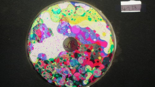 Bubble vision oil - oil, wheel
