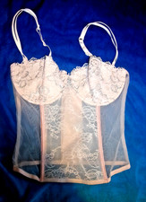 BEAUTIFUL PINK SHEER BASQUE