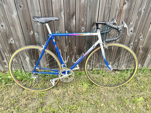 David tesch specialized - david,
