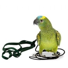 The aviator parrot harness - parrot, &