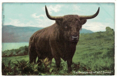 Vintage postcard am - vintage, monarch