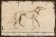 Vintage Illustration of a