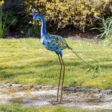 Blue Metal Peacock Garden