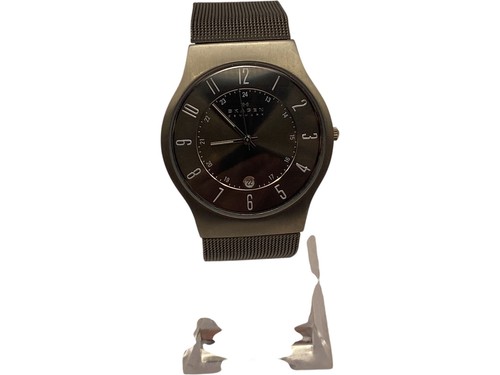 Skagen 233xlttm titanium - skagen,