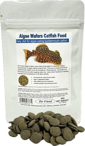 Nutritious spirulina insect - nutritious,