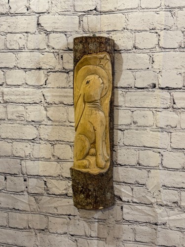 Hare rabbit looking - looking, at