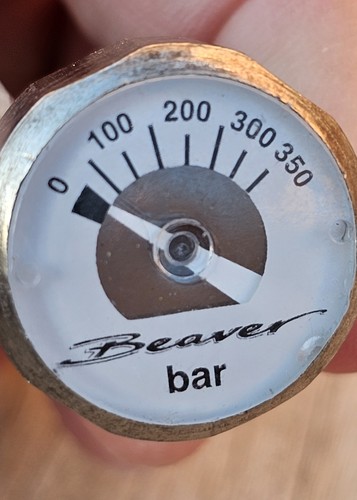 Beaver button gauge diving - button,