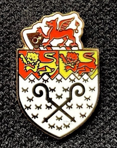 Wrexham heritage football - football, pin