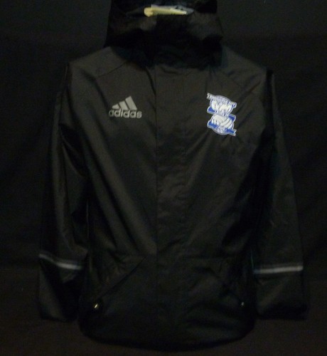 Birmingham city ladies - birmingham, fc
