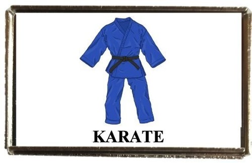 Karate sport silver colour - sport,