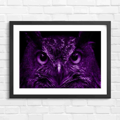 Intense orange owl eyes - orange,