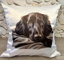 Flat Coated Retriever Dog