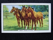 THOROUGHBRED HORSES GREAT