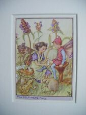 Vintage Flower Fairies Print &