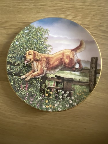 Royal doulton dogs action - dogs, in