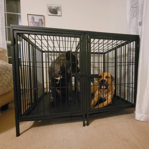 Huge dog cage for - huge,