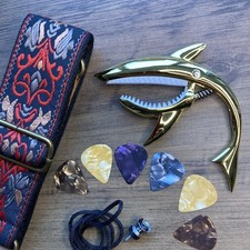 Guitarist Ultimate Gift Set