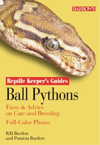 Ball python reptile - ball,