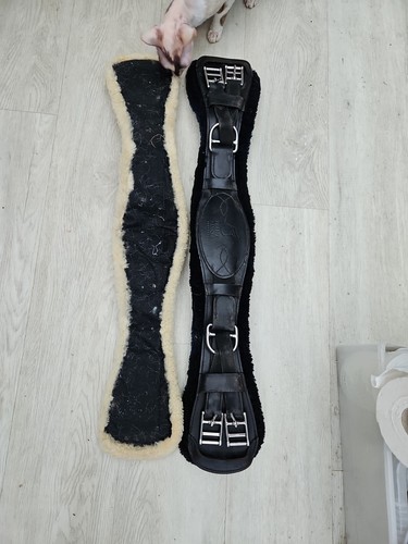 Frank bains black dressage - bains,