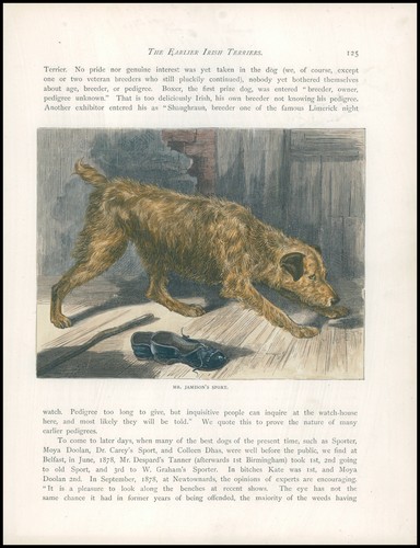 1890 original antique - original, of