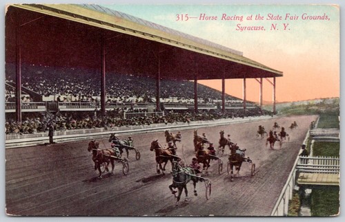 Postcard syracuse horse - postcard, ny