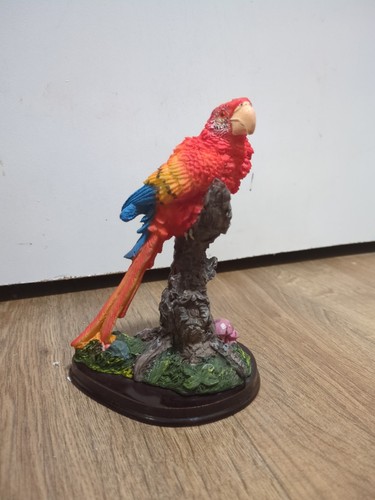 Vibrant mccaw parrot - parrot, on