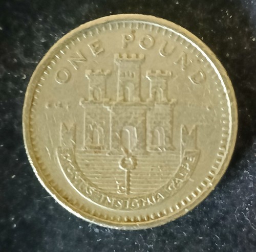 0737 gibraltar pound coin - gibraltar, 1