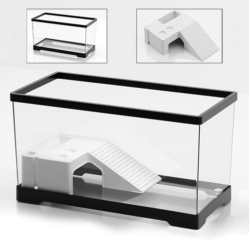 Turtle tank climbing tortoises - climbing,
