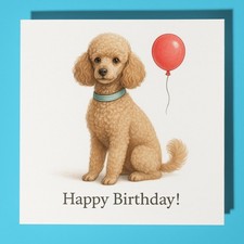 Miniature Poodle Dog - Happy