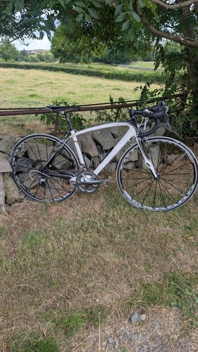 Specialized roubaix expert - specialized,