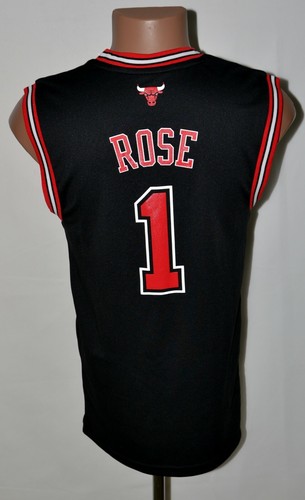 Nba chicago bulls basketball - nba,