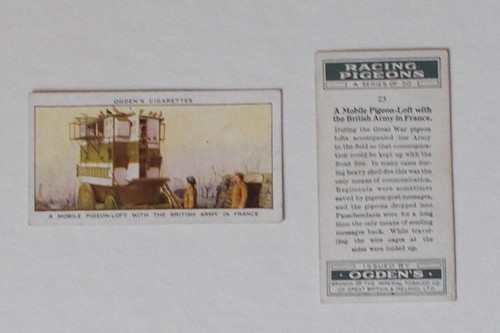 Ogdens racing pigeons card - ogdens,racing, pigeons,
