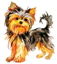 Yorkshire terrier Dog art,yorkie puppy,original painting,home, design 4.5x5"