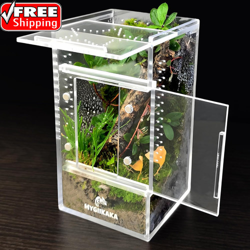 Jumping spider enclosure - spider,