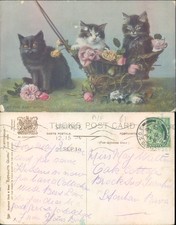 Cats in a floral setting