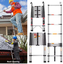 Telescopic Ladder Stainless