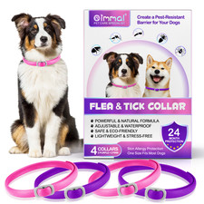 Dog Flea Tick Collar for Dogs