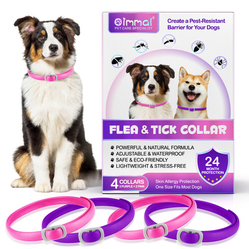 Dog flea tick collar - dog,