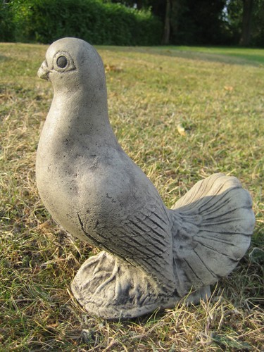 Dove stone garden - dove, ornament