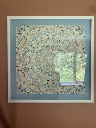 Damien hirst framed pieces - 2x,