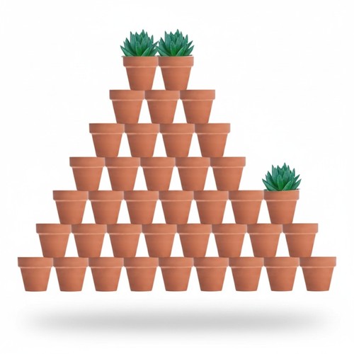 Mini terracotta plant pots - plant, 48