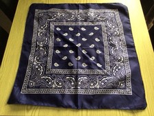 Small Neck Scarf Fancy Dress Cow Girl Accessories Used Once