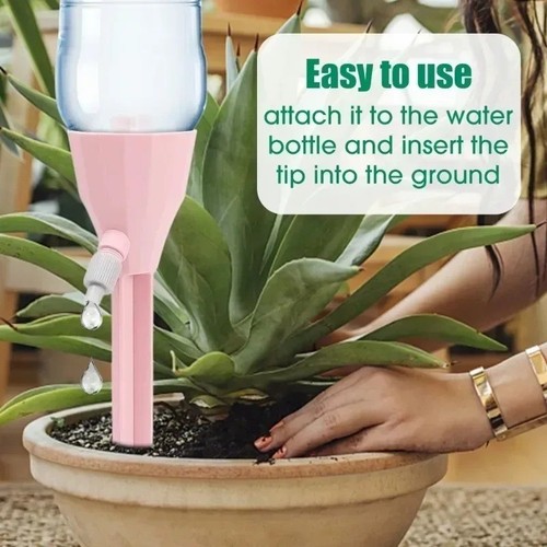 Automatic plant watering - plant,