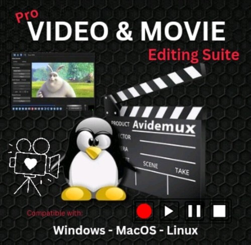 Professional video editing - professional,