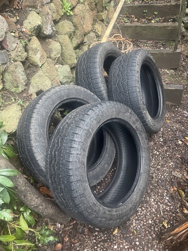 Set falken wildpeak ar3w - falken,